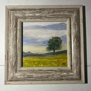 Heartland Micro #1